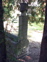 gal1-06as2008